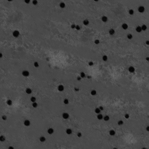 ../_images/color_distance_crop.png